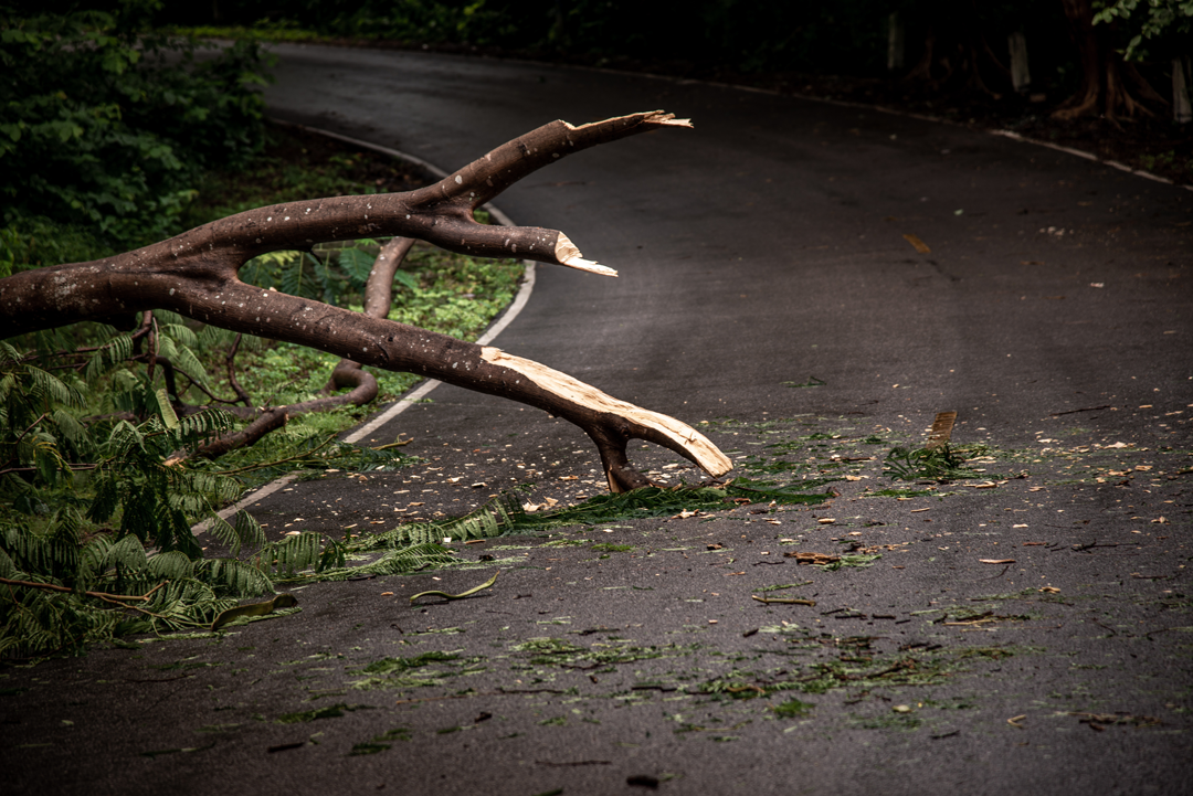 How Dangerous is Road Debris?